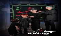پای پیاده به  عشق حسین بن علی ع 