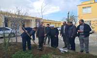 در راستای توصیه‌های مقام معظم رهبری درباره گسترش فرهنگ نهال‌کاری، آیین کاشت نهال به نام شهدای جنگ تحمیلی و سرداران رشید کشور با حضور مدیران و مسئولان حوزه سلامت فامنین برگزار شد.